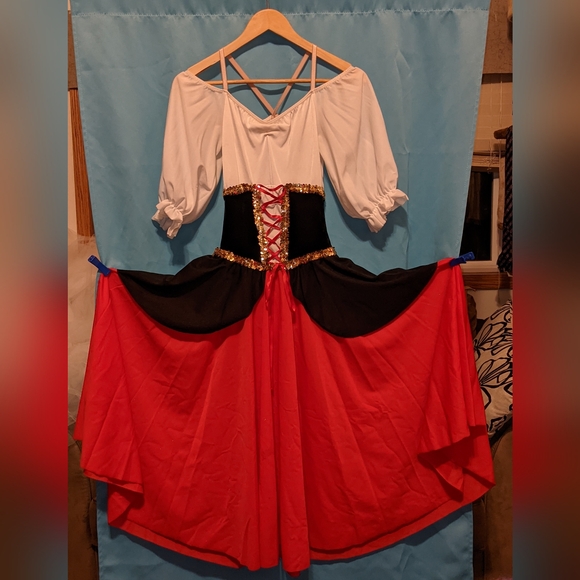 Pirate Dress Costume Halloween - Picture 1 of 9